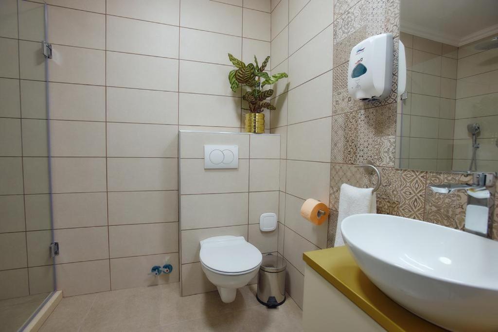 Hotel Imperium Botiz Exteriér fotografie